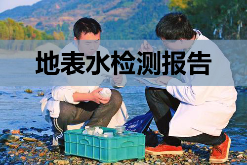 關(guān)于內(nèi)蒙古金山礦業(yè)有限公司地表水檢測(cè)報(bào)告（2020第一季度)